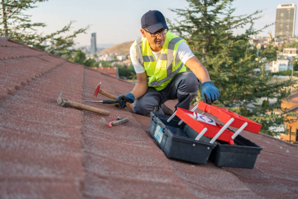 Best Attic Cleanout  in USA